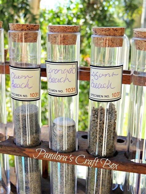 test tube craft bottle|pinterest test tube crafts.